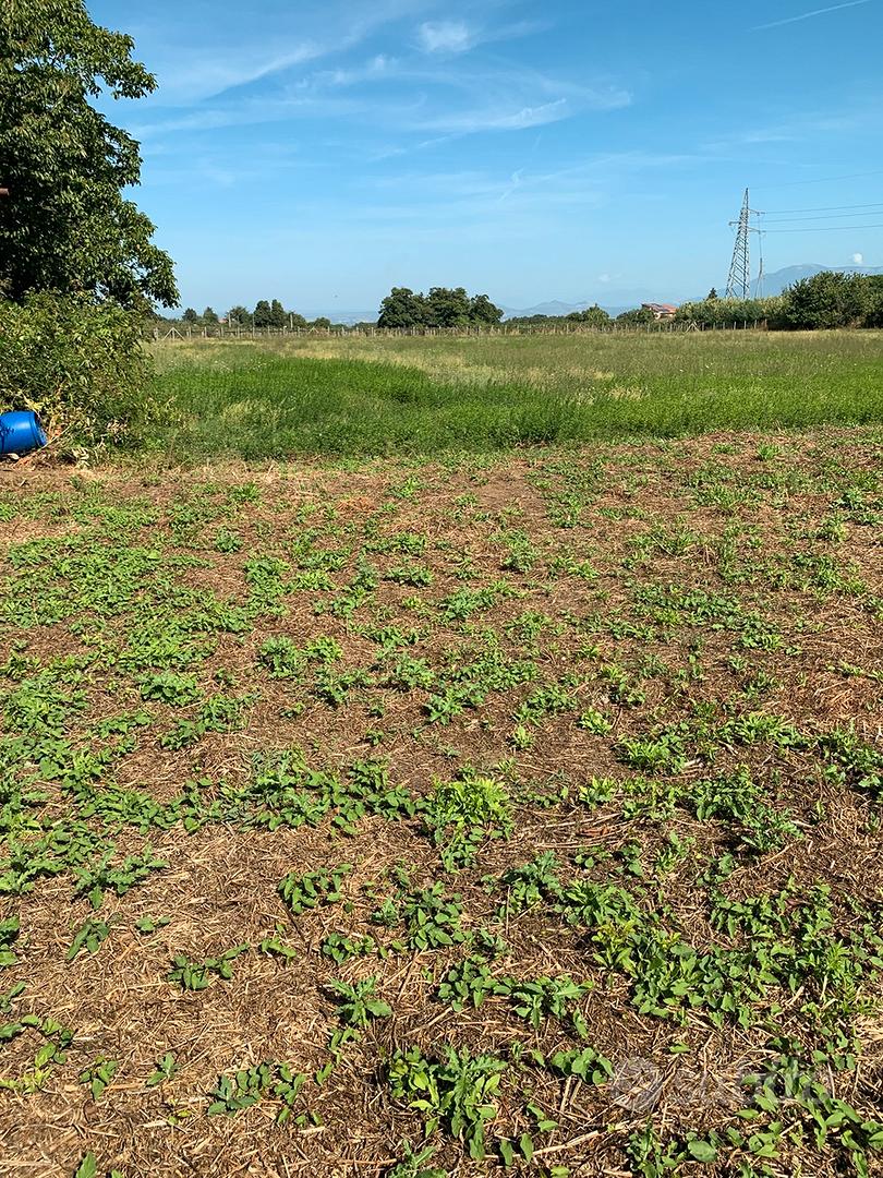 Terreno 11.000 mq vicino Roma - Vista 2