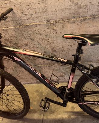 Bici sportiva