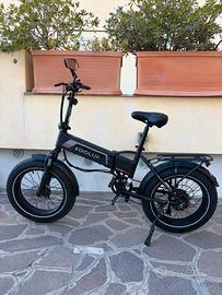 Fat E-  Bike