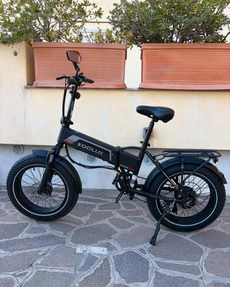 Fat E-  Bike