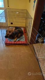 gabbia x cani Kennel