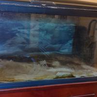 Acquario Ferplast Cayman 110 Professional