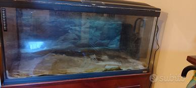 Acquario Ferplast Cayman 110 Professional