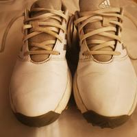 Scarpe golf Adidas