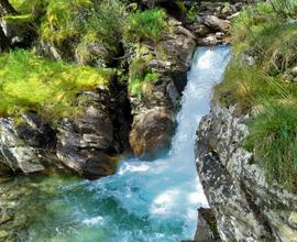 Vacanze e relax nel Parco nazionale dello Stelvio