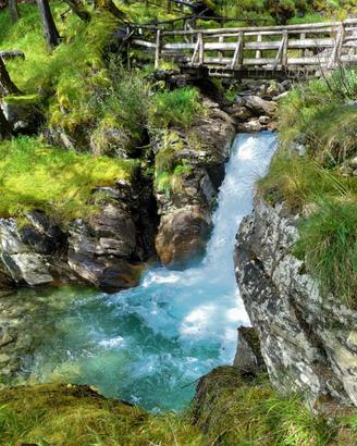 Vacanze e relax nel Parco nazionale dello Stelvio