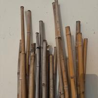 Pali bamboo pomodori