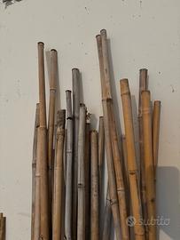 Pali bamboo pomodori