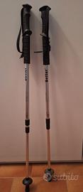 Bastoncini da Trekking-bastone telescopico 