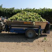 Carrellone uva acciaio inox 