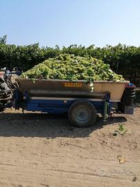 Carrellone uva acciaio inox 