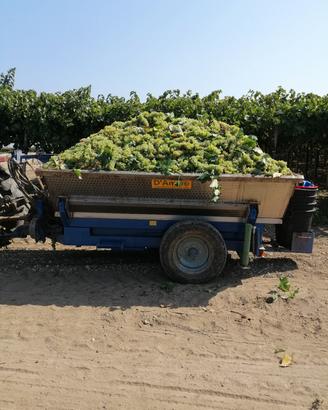 Carrellone uva acciaio inox 