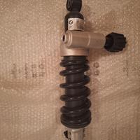 Ammortizzatore posteriore BMW R1250R