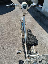 Bicicletta elettrica