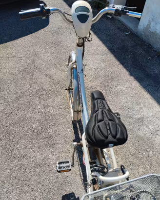 Bicicletta elettrica