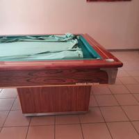 Biliardo professionale