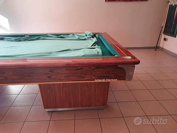 Biliardo professionale