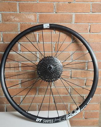 Ruot Dt Swiss HG1800 Spline