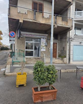 Attività commerciale già avviata 150mq Mini Market