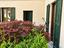 Immagine 15