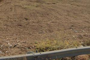 Terreno edificabile 3000 mq a 400 m dal mare