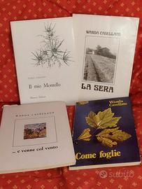 Lotto libri di Wanda Casellato
