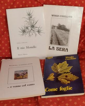 Lotto libri di Wanda Casellato
