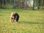 Immagine 10