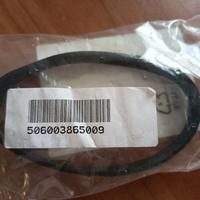 Electrolux Gazelle aspirapolvere verticale cinture