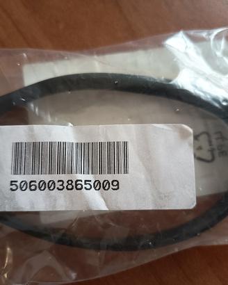 Electrolux Gazelle aspirapolvere verticale cinture