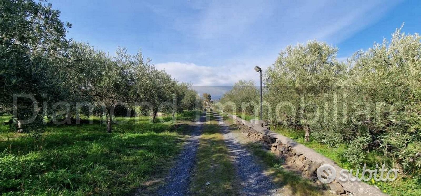 Terreno agricolo parz. edifi San Giovanni la punta - Vista 3