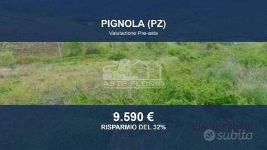 Immobile in asta di 10133 m² a Pignola