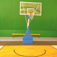 Canestri  basket professionali