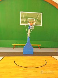 Canestri  basket professionali