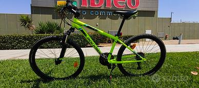 bici MTB 24
