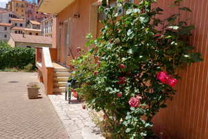 Monteflavio appartamento +rustico e seminterrato