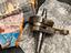Immagine 1