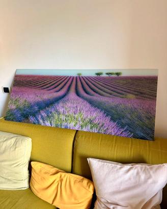 Quadro in vetro temperato 125x50 – Campi Lavanda