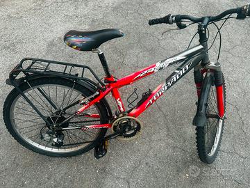 Bici 24”