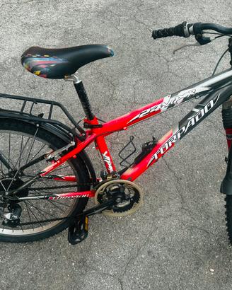 Bici 24”