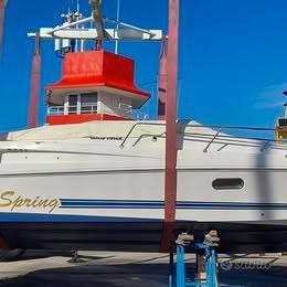 Tullio Abbate spring