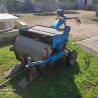 Scopatrice raccoglitrice olive