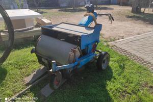 Scopatrice raccoglitrice olive