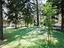 Immagine 27