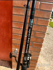 Canna lineaeffe + mulinello