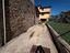 Immagine 6
