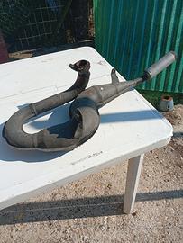 marmitta