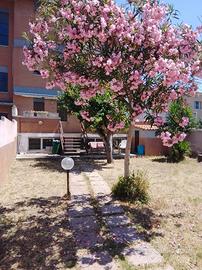 Settembre a Lido dei Pini