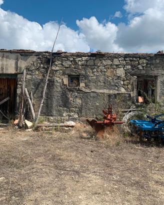 Terreno agricolo e fabbricato rurale