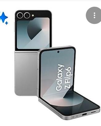 SAMSUNG FLIP Z6
